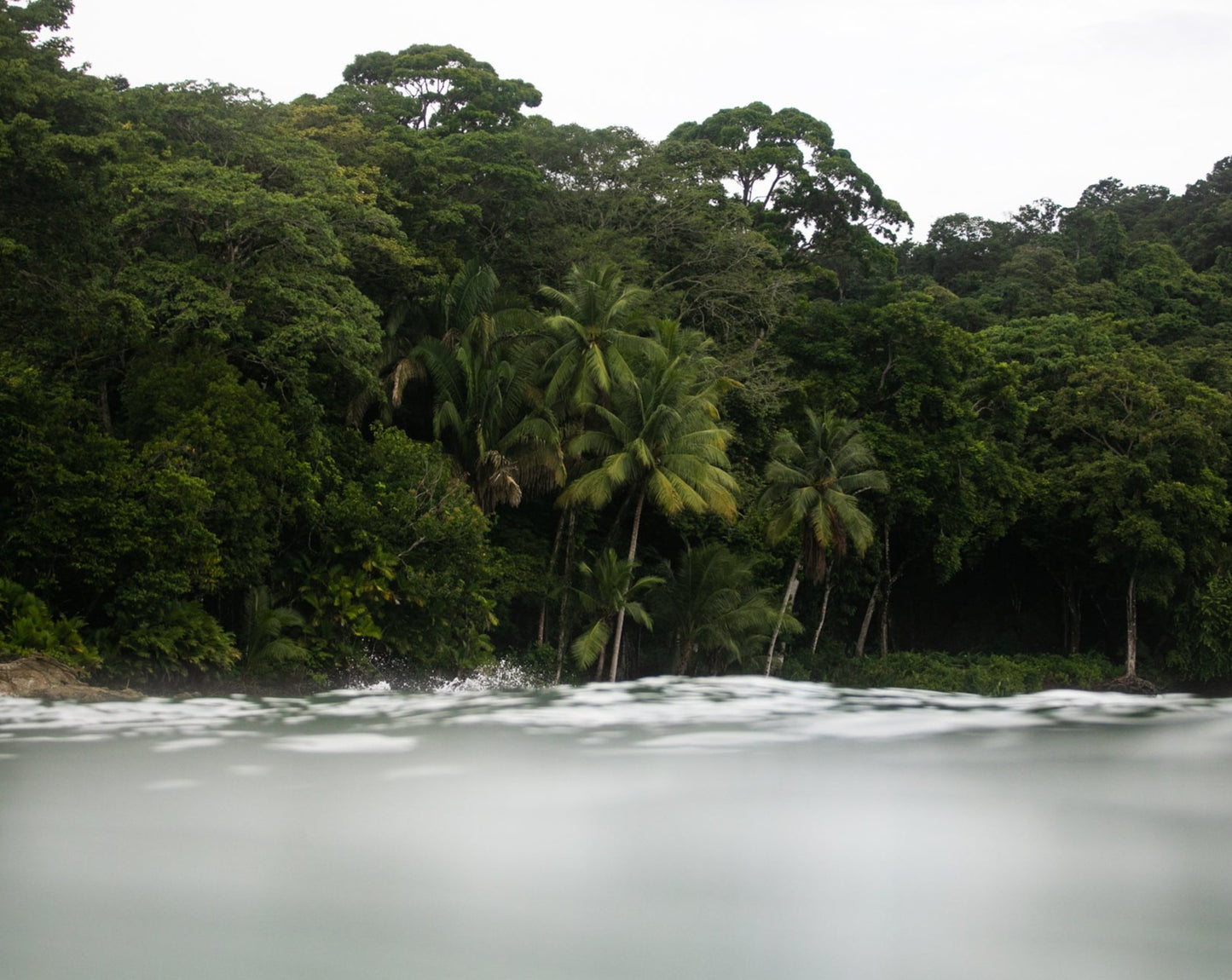 Surf Trip (Half Day)