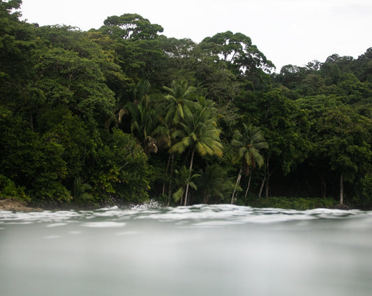 Surf Trip (Half Day)