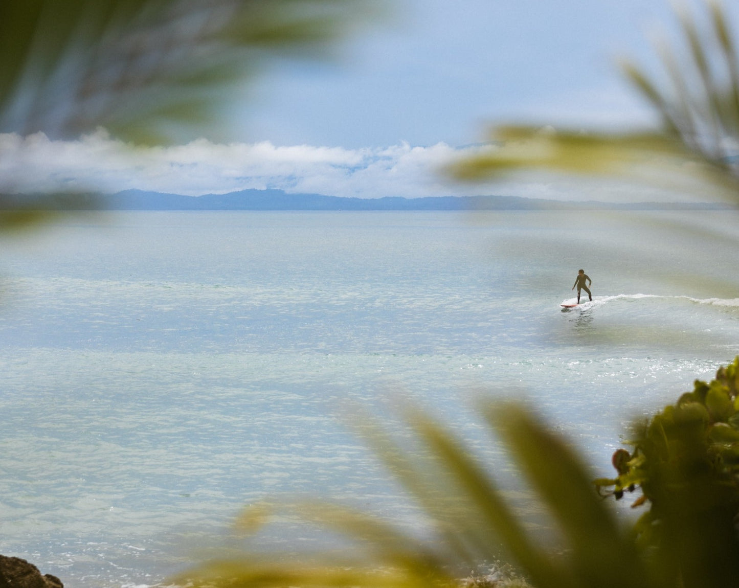 Surf Trip (Half Day)