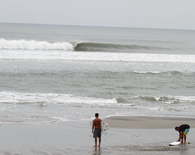 Surf Trip (Half Day)