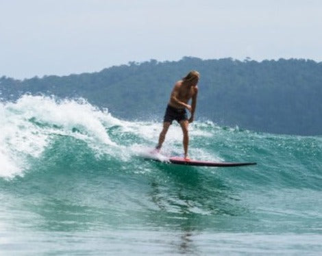 Surf Trip (Half Day)